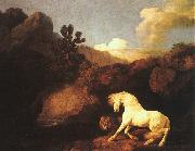 George Stubbs A Horse Frightened by a Lion china oil painting reproduction